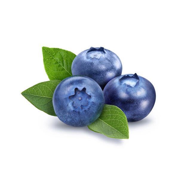 Fresh Blueberry