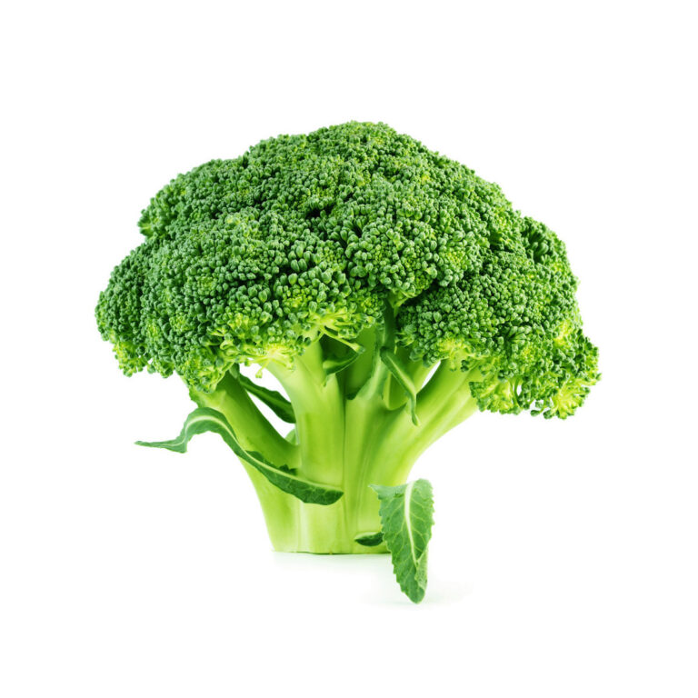 Green Broccoli